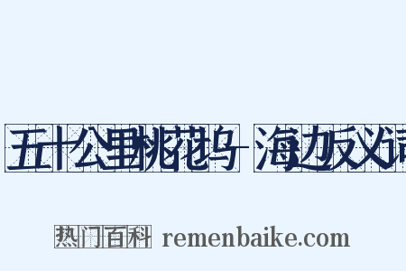 五十公里桃花坞-海边反义词是什么意思的图片